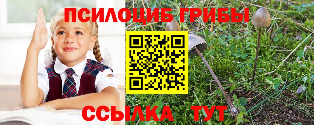 Серпухов  Псилоцибиновые грибы Magic Shrooms  Вход с VPN  Галлюциногенные грибы мицелий 